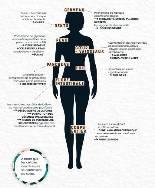 Berengere Philippon schéma je réussis ma detox sucre